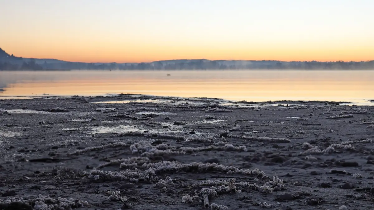 Misty lakeside at dawn